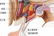 男子胸部挤出乳汁