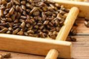 决明子茶的功效与作用 决明子茶的禁忌