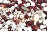 红豆薏米蒲公英茶的功效 红豆薏米蒲公英茶适合什么人喝