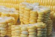 水果玉米有减肥效果吗 水果玉米减肥还是增肥