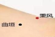 秉风的简单找法 秉风的功效与作用图片