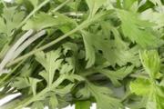 艾草煮水洗澡治湿疹吗 艾草煮水治湿疹多久见效