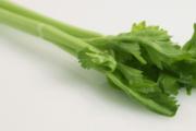 感光食物有哪些