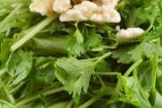 羊肉和苦菊能一起吃吗 苦菊有什么营养价值