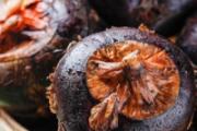 怎么清除荸荠的寄生虫 荸荠里面有寄生虫高温多少杀死