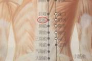 胆俞的准确位置图,胆俞的准确位置图和作用