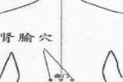肾俞在身体哪个位置 肾俞是什么意思