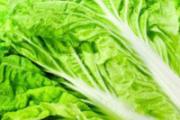 上火吃什么降火 夏季降火就吃这几样