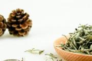 女人喝白茶的好处和坏处 喝白茶可以减肥吗
