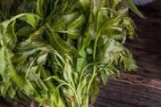 香椿芽可以冷冻保存吗 香椿的保存方法
