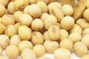黄豆怎么挑选 吃黄豆有什么好处