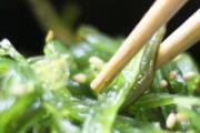吃裙带菜恶心反胃是怎么回事 裙带菜吃多了会拉肚子吗