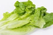 生菜变红还能吃吗 生菜根部为什么会变红