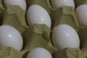 鸽子蛋放水里浮能吃吗 鸽子蛋怎么看新鲜