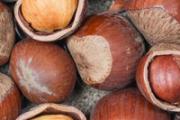 榛子放冷藏还是冷冻 榛子冷冻后可以吃吗