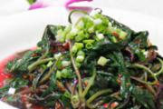 痢疾吃什么食物好