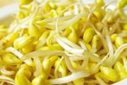 黄豆芽可以生吃吗