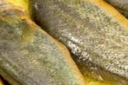 新鲜带鱼可以用盐腌制后冷冻吗 新鲜带鱼怎么腌制