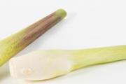 茭白放冰箱变红能吃吗 茭白能放多久