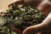 孕妇喝什么茶最好 每天什么时候喝什么茶适合