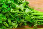 香菜和韭菜可以一起吃吗 香菜和韭菜能一起炒鸡蛋吗