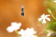 芒种起居养生注意事项