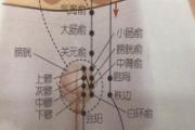 胞肓准确位置图和作用 胞肓的作用是什么