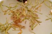 降火喝什么茶最好