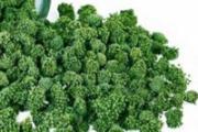 三七花的功效与作用