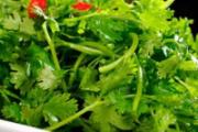 新鲜香菜如何长期保存 新鲜香菜可以放多长时间