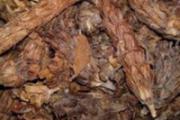 夏枯草能治甲状腺结节吗