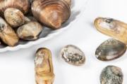 蛏子吐沙最快的方法 海蛏子怎么去壳
