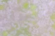 七个月宝宝辅食食谱：莴笋大米粥