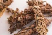 夏枯草菊花茶的功效 喝夏枯草菊花茶要注意什么