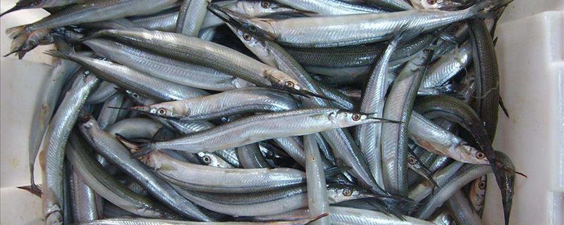 嘴巴搜索结果-乐哈健康网