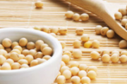 孕妇吃什么对胎儿智力有益 这些食物提高智商最有效