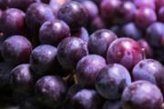 喝酒后可以吃葡萄吗 吃葡萄可以喝豆浆吗