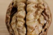分心木真的能治失眠吗 治失眠怎么吃分心木