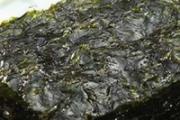 冬天吃什么减肥最有效 最刮油的减肥食物