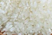 粳米功效与作用 食用粳米有什么注意事项