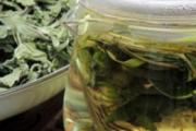 蒲公英茶利尿吗 蒲公英茶是根好还是叶子好