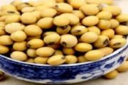 黄豆泡24小时还能吃吗 黄豆不泡能打豆浆吗