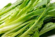 吃油麦菜可以减肥吗