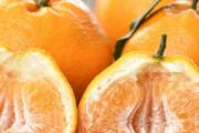 湿橘子皮能泡水喝吗 橘子皮怎么泡水喝