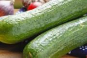 生黄瓜孕妇可以吃吗 哺乳期可以吃生黄瓜吗