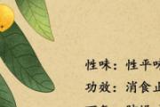 枇杷干泡水的功效与作用 枇杷干泡水能长期喝吗