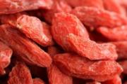 风寒感冒可以吃枸杞吗 风寒感冒怎么吃枸杞好