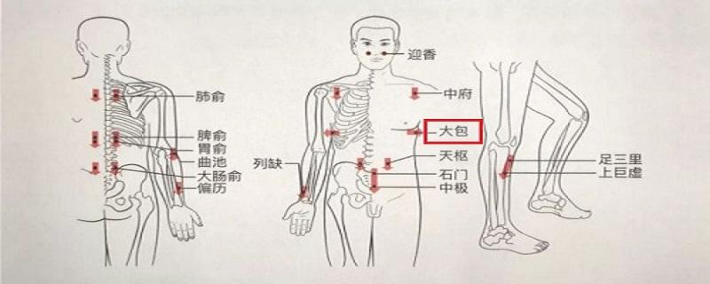 发表[养生攻略]大包的准确位置及功效 怎样按摩大包2019-03-26  浏览