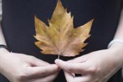 孕妇能用艾草花露水吗 孕妇用了艾草花露水会怎样