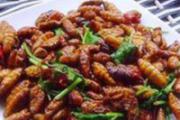 蝉蛹和什么不能一起吃